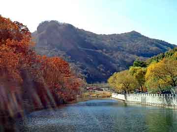 新澳天天开奖资料大全旅游团，都市之龙傲天下